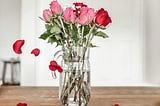 A mason jar full of roses, red and pink. A few rose petals falling