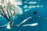 If You Care About Ocean Plastics, Rethink Fish Consumption