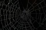 How To Unravel A Narcissistic Web Of Lies