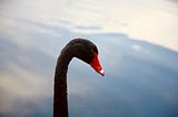 Nassim Taleb Trading Strategy Explained in Practice: How to Profit from Black Swans