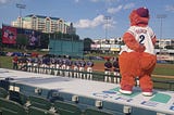 Baseball Team Hosts Season Record Crowds and Furry Friends