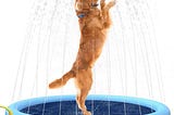 splash-sprinkler-pad-for-dogs-kids79-thicken-dog-pool-with-sprinklerpet-outdoor-play-water-mat-toys--1