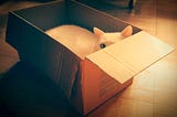 A white cat lies in a cardboard box, with most part of the body and face are hidden, staring  at the camera.