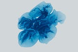 Mental Model (Zihinsel Model)