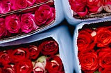 Valentine’s Day Gifts- ConsciousCo