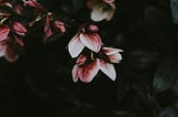 The One Whom Others Fear | Flash Fiction Series