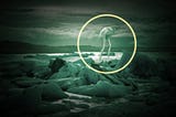 Cryptozoology: The Ningen Cryptid