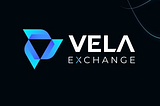 Merkeziyetsiz Ticaretde Yeni Devir! Vela Exchange Nedir? Nasıl Kullanılır?