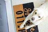 More Than Just a Mat: Your Doormat’s Hidden Potential