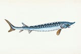 Real Monster Stories: 350 Years of Monster Reports in New York Lake