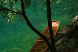 A boat on a lake, beneath a tree