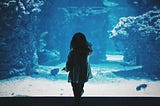 A small child stares into an aquarium.