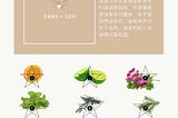 為什麼是芳香五星術？