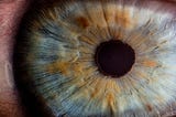 An image of an eye