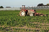 Wendell Berry e a liberdade de ir para onde a tecnologia nos obriga a ir