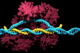 Genome Editing