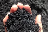 Biocharmed: is biochar living up to its expectations?