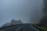 Shadows in the Fog