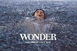 WONDER — SHAWN MENDES