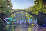 Why the crypto project SUPERBID could be a gamechanger and the bridge to mass adoption