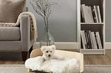 sams-pets-kuai-dog-bed-bent-wood-medium-light-brown-1