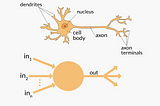 How to build a basic Neural Network.