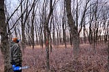 Dan, the author’s husband holds a blue saw. He is looking at a tree with an orange mark on it, because it is dead.