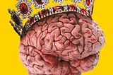 Intellect Sold In Boxes