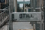 A chain link fence with a steel mesh door, graffiti on the door says in all capital letters, “STILL FREE”.