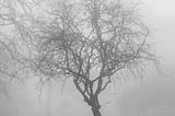 Suffering Through The Four Year SAD (Seasonal Affective Disorder)