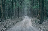 Jim Corbett National Park: India’s Oldest Wildlife Sanctuary and Its Conservation Legacy