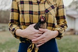 A woman holding a hen in her hands. The picture shows only the hen and the woman‘s torso and chest region. The background is a blurred farm scene.
