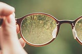 The Lens of Others