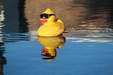 a rubber duck with sunglasses on, sailing through a pond