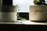 A Fresh Lens for Evaluating Your Writing