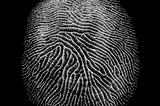 The Intriguing Connection Between Your Brain and Fingerprints