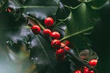 Better Than Gold, Evergreen