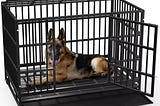 vitesse-heavy-duty-indestructible-high-anxiety-dog-crate-cage-for-outdoor-and-indoor-with-removable--1