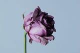 Sorrow and Grief