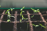 No One Is Stopping You from Growing