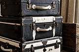 Lily-Bloom-Luggage-1