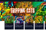 Tripping Cats Launch Live on PowerFan: How to buy on using MATIC on the Polygon Network