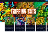 Tripping Cats Launch Live on PowerFan: How to buy on using MATIC on the Polygon Network