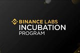 4 Out of 13 Projects Graduating from the Binance Labs Incubation Program are African