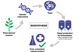 What is biosynthesis and why do we use it?