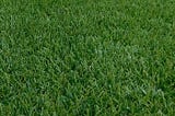 Spend less And Environment With High-quality Synthetic Grass