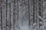 Mastering Peace of Mind: A Simple Technique for Mental Harmony
