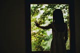 New Seeds 2: What Contemplation is Not