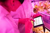 Cellular Agriculture: Das bezahlbare und umweltbewußte Steak