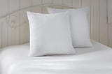 brylanehome-euro-pillow-insert-0-white-1